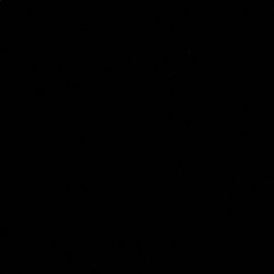 Meet your Posher, Theodore